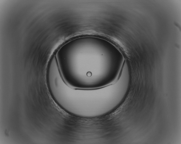 X0000091691326200709131559