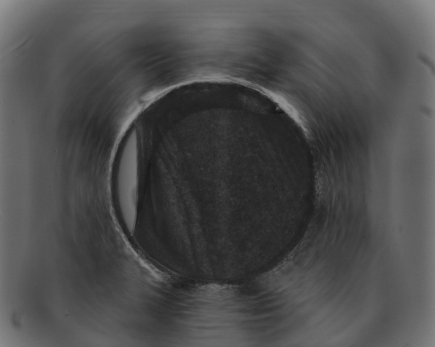 X0000091691327200709131559