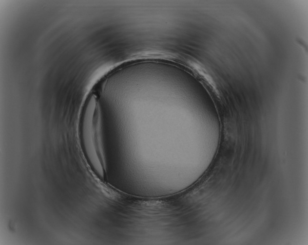 X0000091691328200709131559