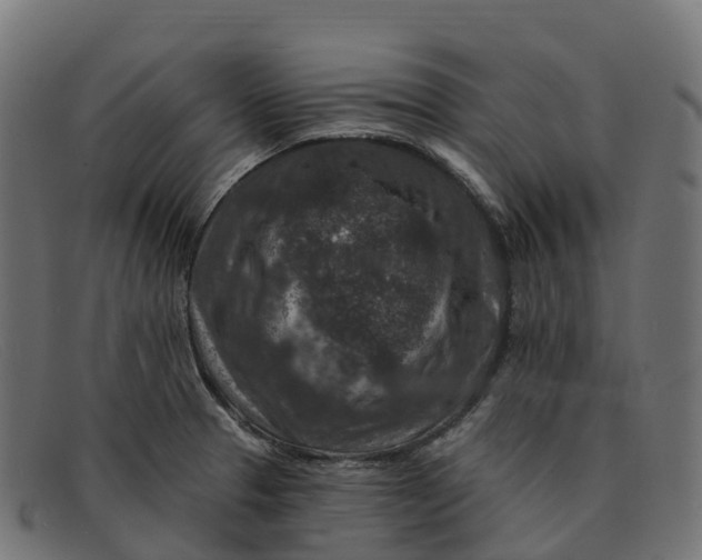 X0000091691329200709131559