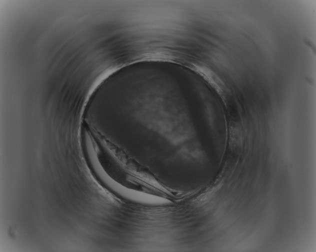 X0000091691331200709131559