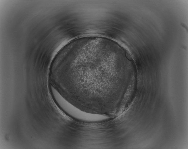 X0000091691333200709131559