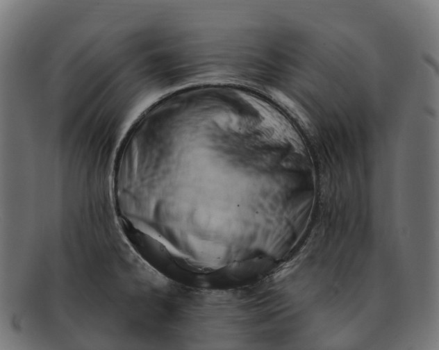 X0000091691334200709131559