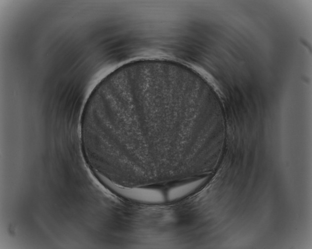 X0000091691335200709131559