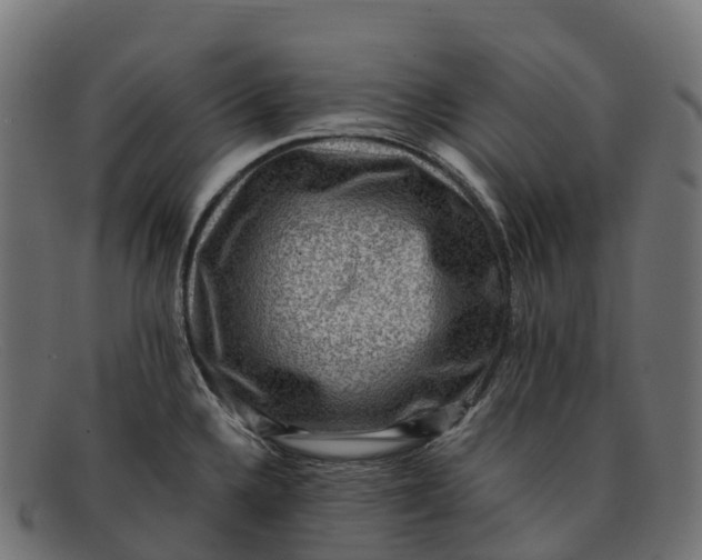 X0000091691336200709131559