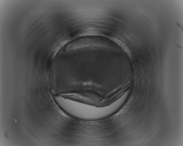 X0000091691337200709131559