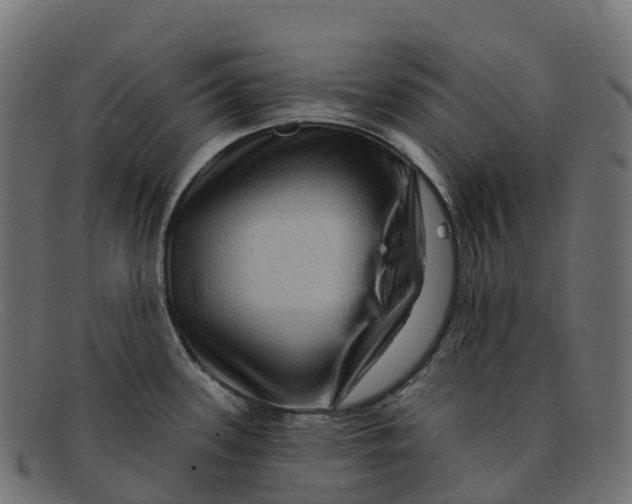 X0000091691339200709131559