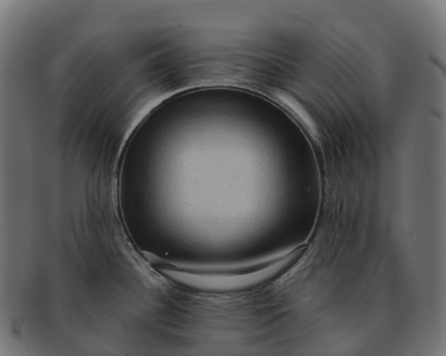 X0000091691340200709131559