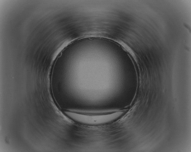 X0000091691341200709131559