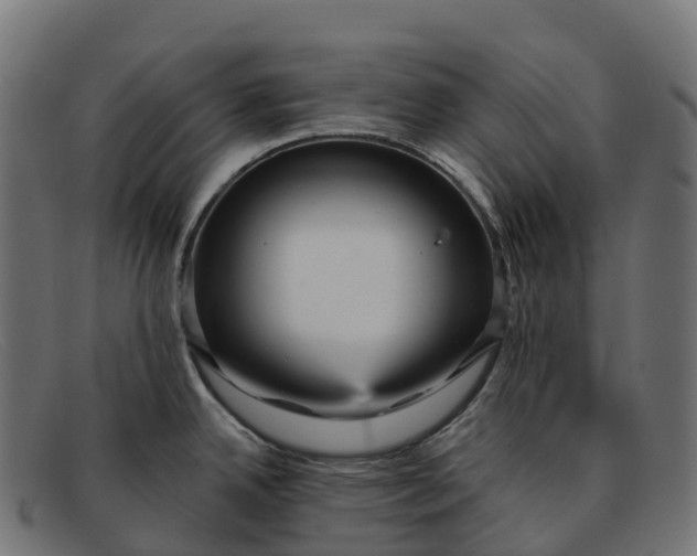 X0000091691342200709131559