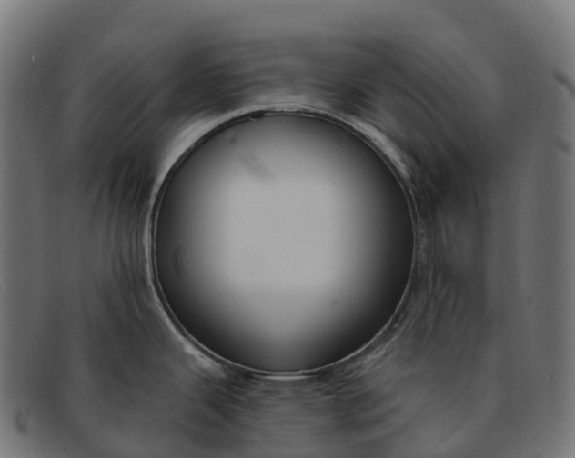 X0000091691343200709131559