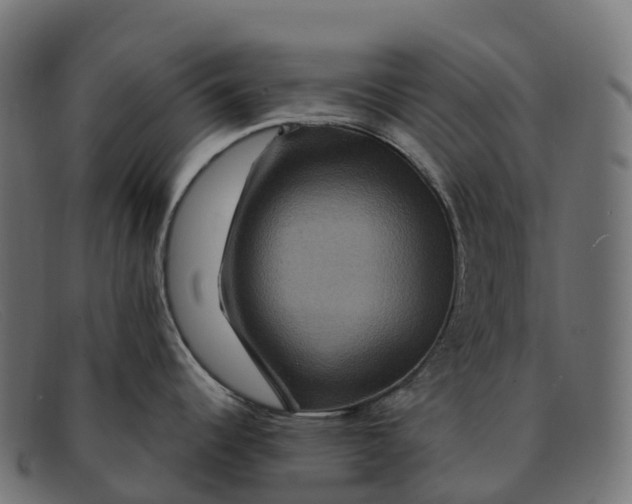 X0000091691344200709131600