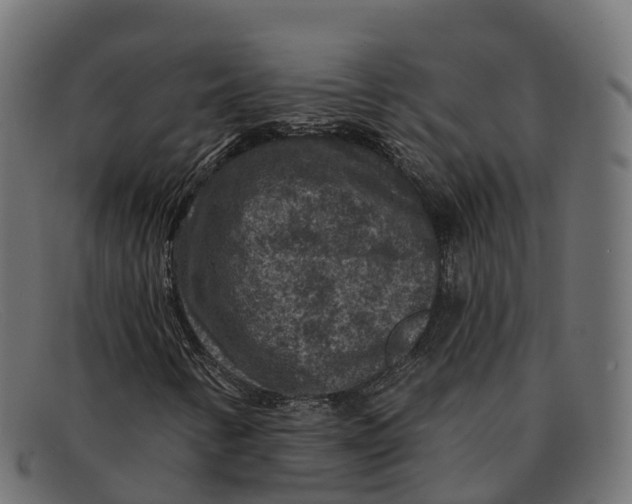 X0000091691346200709131559