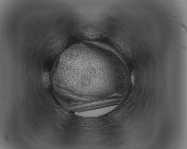 X0000091691347200709131559