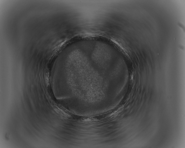 X0000091691348200709131559