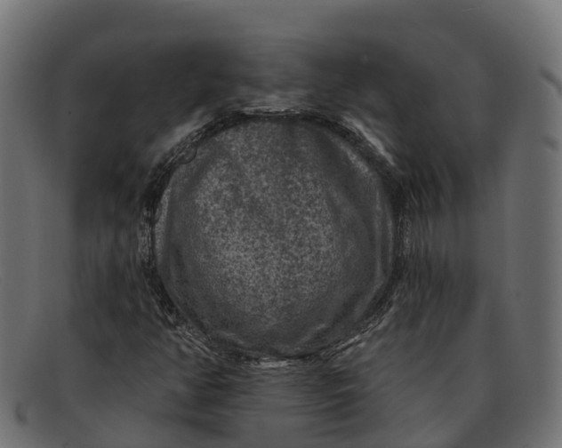 X0000091691350200709131559