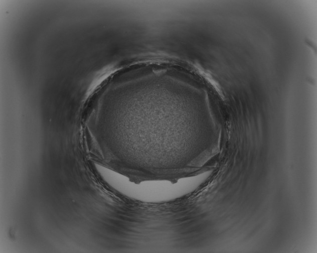 X0000091691352200709131559