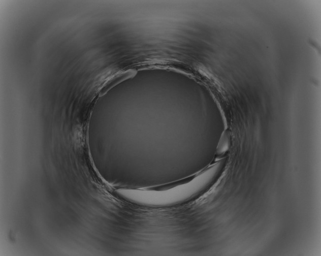 X0000091691353200709131559