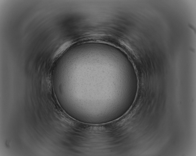 X0000091691354200709131559