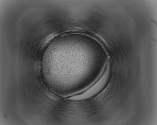 X0000091691355200709131559