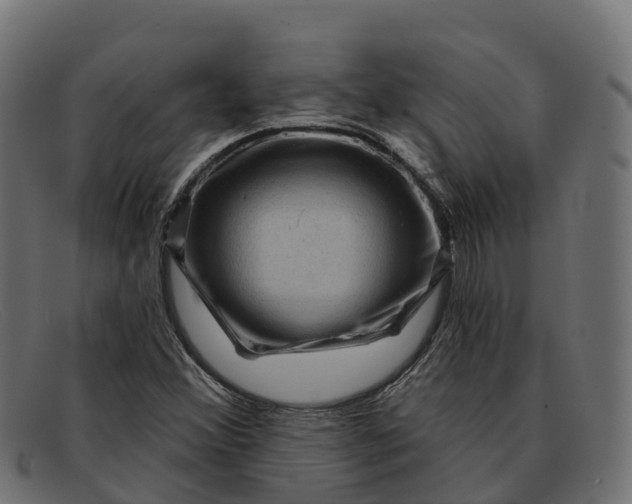 X0000091691356200709131559