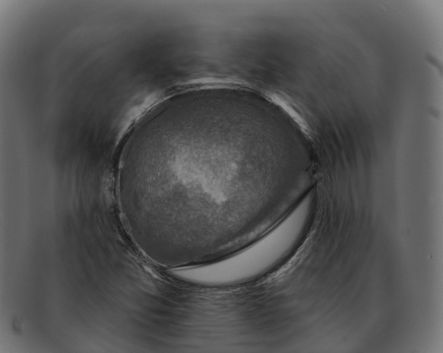 X0000091691357200709131559