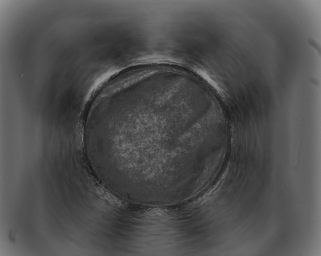 X0000091691358200709131559