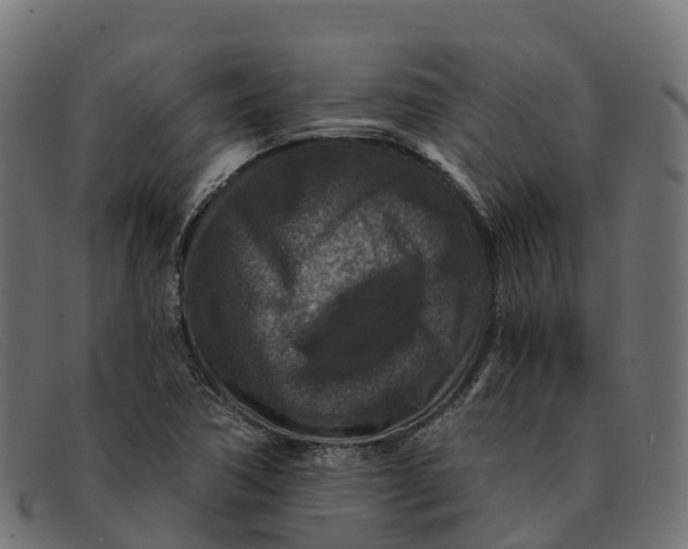 X0000091691362200709131559