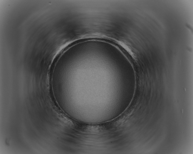 X0000091691364200709131559