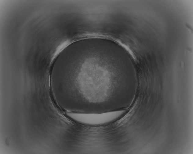 X0000091691365200709131559