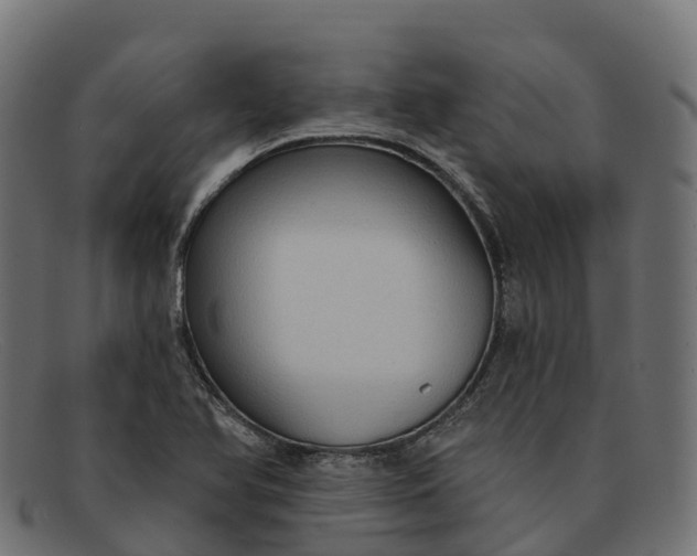 X0000091691366200709131559