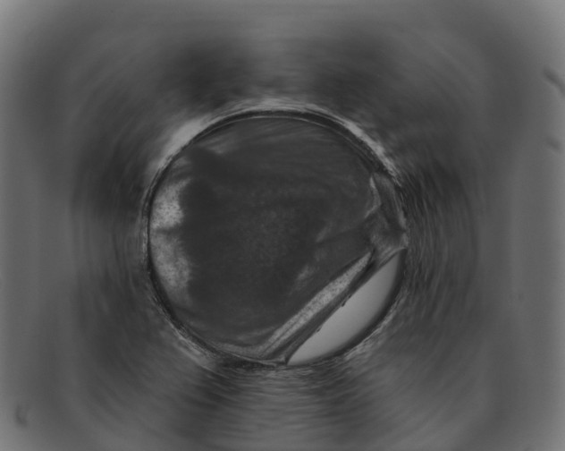 X0000091691367200709131559