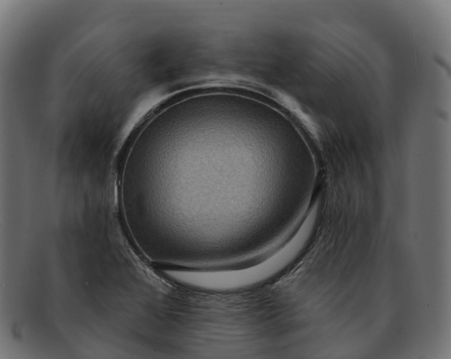 X0000091691368200709131558