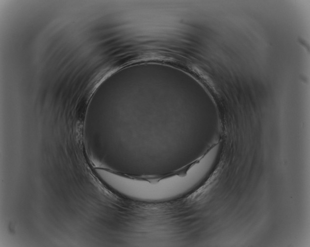 X0000091691369200709131558