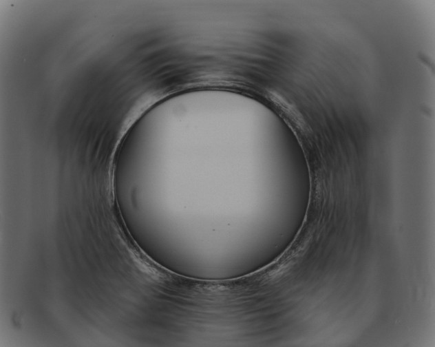 X0000091691370200709131558