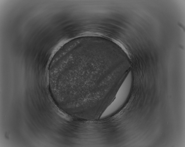 X0000091691371200709131558