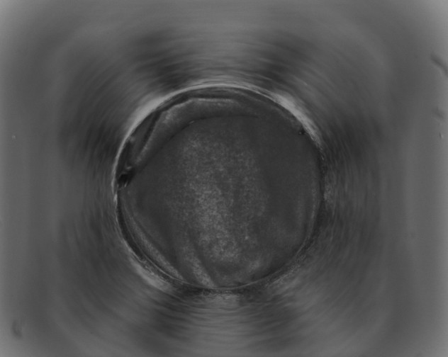 X0000091691372200709131558