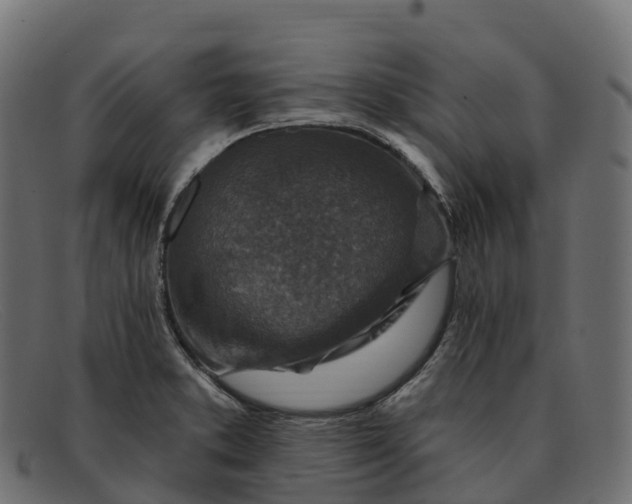 X0000091691373200709131558