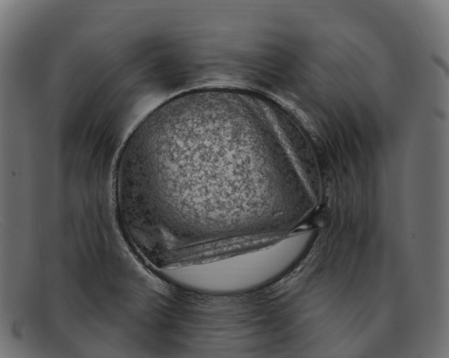 X0000091691375200709131558