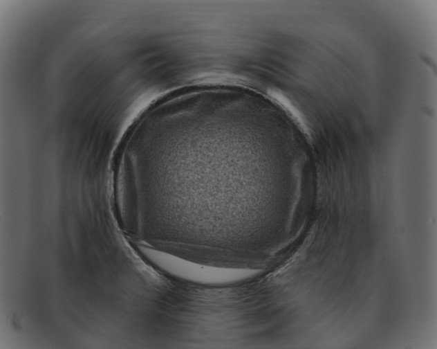 X0000091691376200709131558