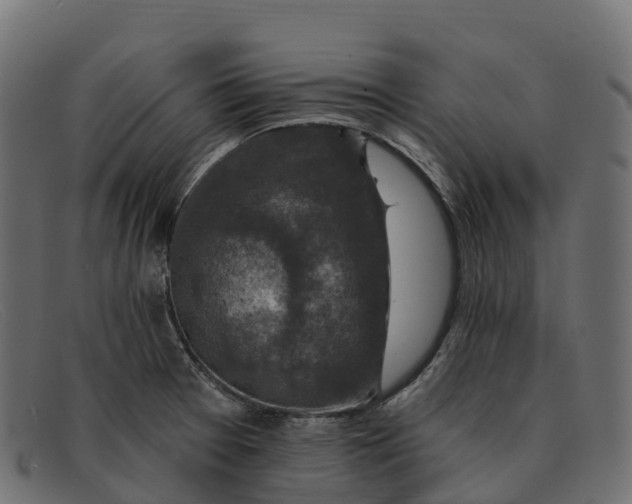 X0000091691377200709131558