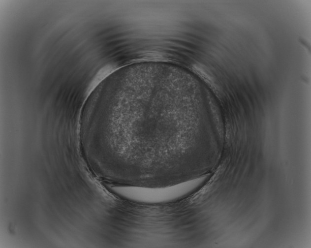 X0000091691378200709131558