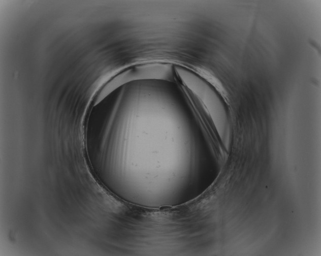 X0000091691380200709131558