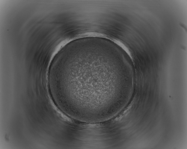 X0000091691381200709131558