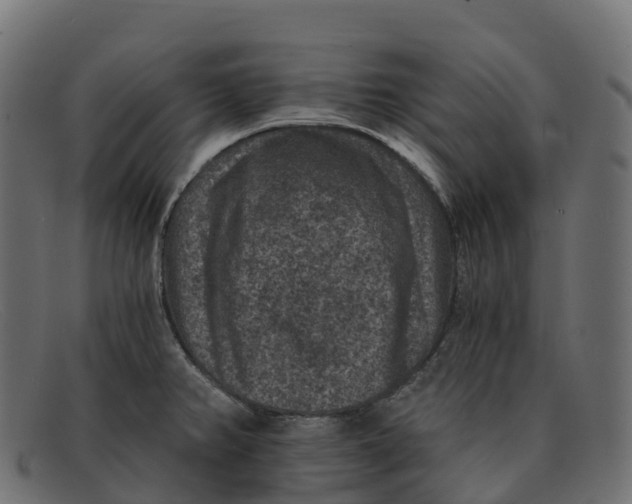 X0000091691382200709131558