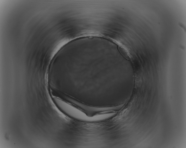 X0000091691383200709131558