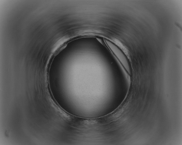 X0000091691384200709131558