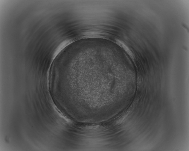 X0000091691386200709131558