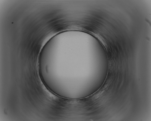 X0000091691387200709131558