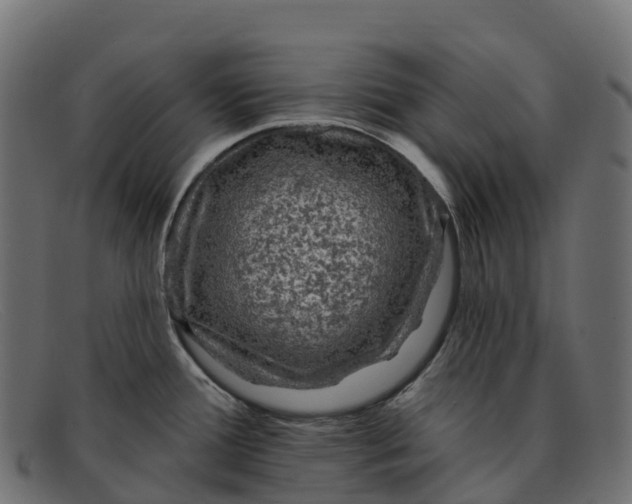 X0000091691388200709131558